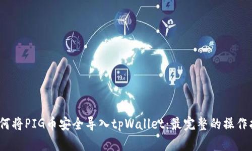 :如何将PIG币安全导入tpWallet:最完整的操作指南