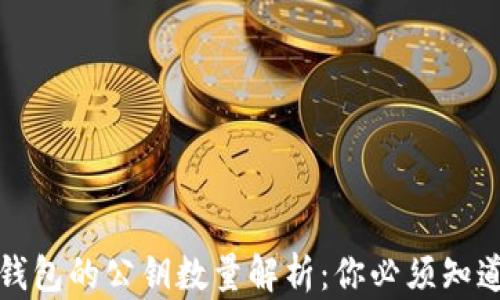 比特币钱包的公钥数量解析:你必须知道的知识