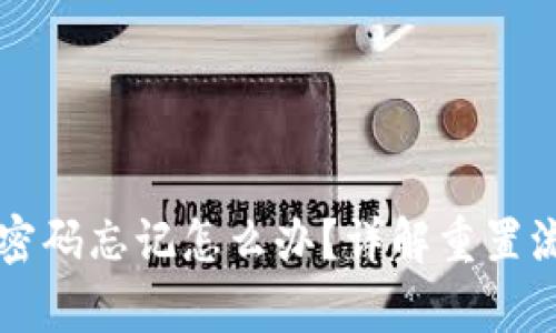 tpWallet支付密码忘记怎么办?详解重置流程与安全提示