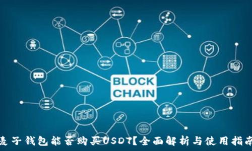   
麦子钱包能否购买USDT？全面解析与使用指南