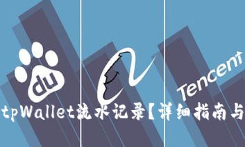 如何查看tpWallet流水记录?详细指南与操作攻略