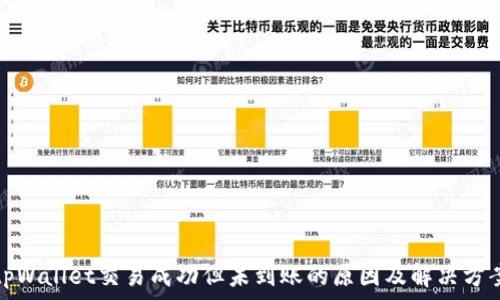 tpWallet交易成功但未到账的原因及解决方案