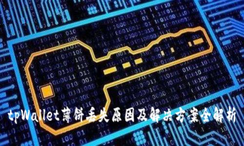tpWallet薄饼丢失原因及解决方案全解析