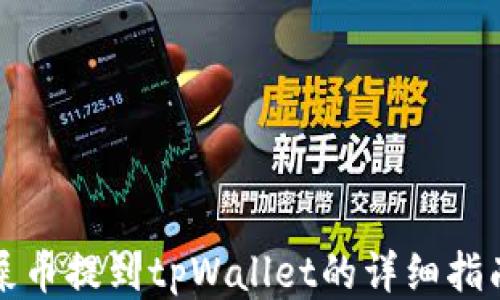 屎币提到tpWallet的详细指南