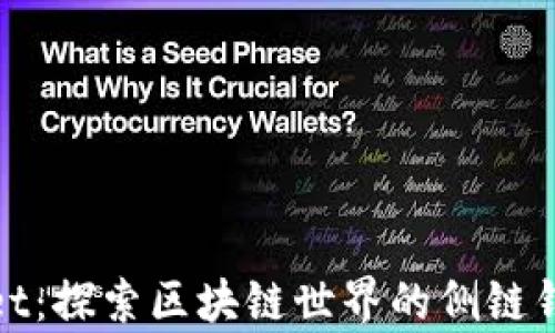 tpWallet:探索区块链世界的侧链钱包选择