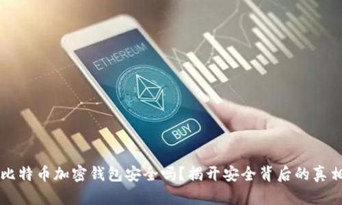 比特币加密钱包安全吗？揭开安全背后的真相