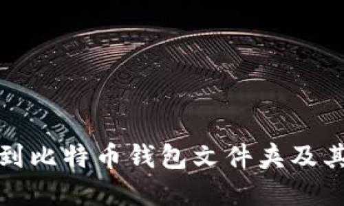 如何找到比特币钱包文件夹及其重要性