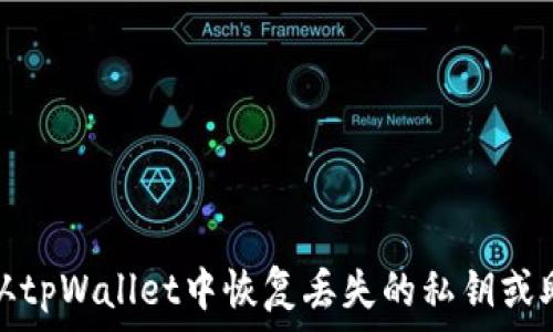 如何从tpWallet中恢复丢失的私钥或助记词
