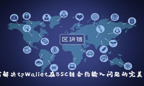 如何解决tpWallet在BSC链合约输入问题的完美指南