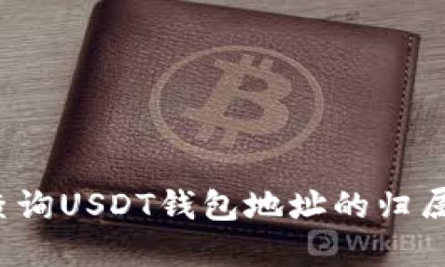 如何查询USDT钱包地址的归属信息?