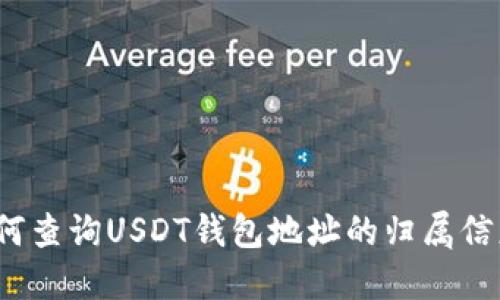 如何查询USDT钱包地址的归属信息?