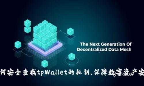 如何安全查找tpWallet的私钥,保障数字资产安全
