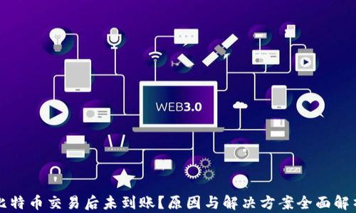 
比特币交易后未到账？原因与解决方案全面解析