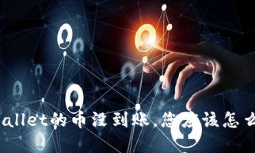 tpWallet的币没到账,您应该怎么做?