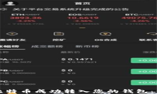 
如何将比特币成功转入您的钱包：详细指南
