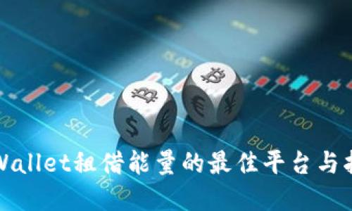 tpWallet租借能量的最佳平台与指南