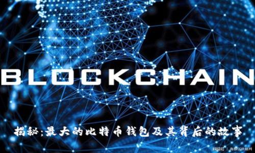 揭秘：最大的比特币钱包及其背后的故事