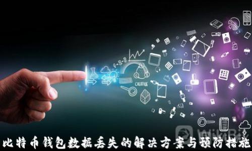 比特币钱包数据丢失的解决方案与预防措施