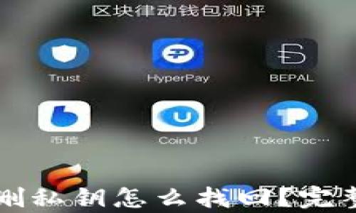 tpWallet误删私钥怎么找回?完整指南与技巧