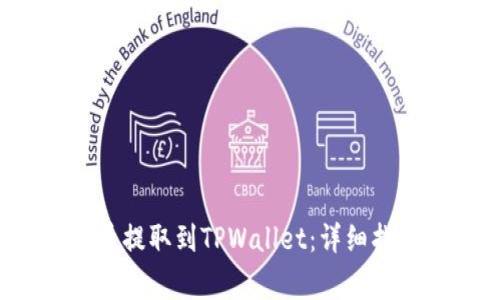 如何将Kishu币提取到TPWallet:详细指南及注意事项