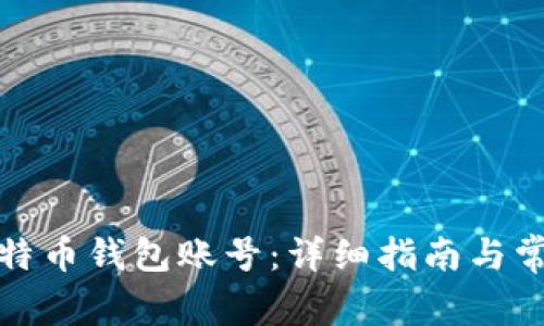 如何查看比特币钱包账号：详细指南与常见问题解答