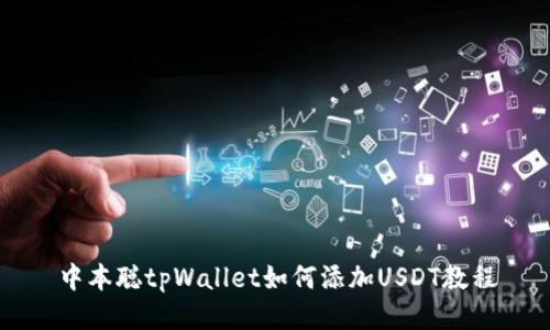 中本聪tpWallet如何添加USDT教程