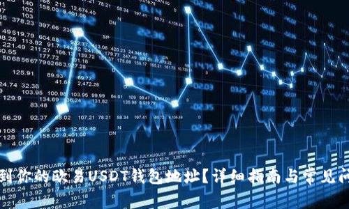 如何找到你的欧易USDT钱包地址?详细指南与常见问题解答