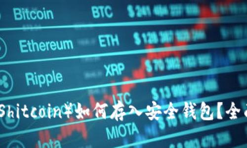 屎币(Shitcoin)如何存入安全钱包?全面指南
