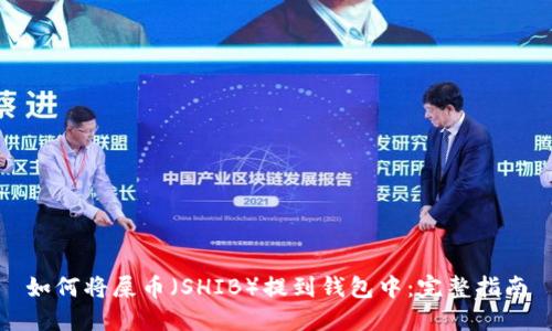 如何将屎币(SHIB)提到钱包中:完整指南