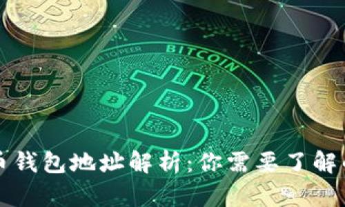 比特币钱包地址解析:你需要了解的一切