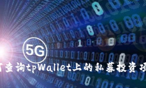 如何查询tpWallet上的私募投资项目?