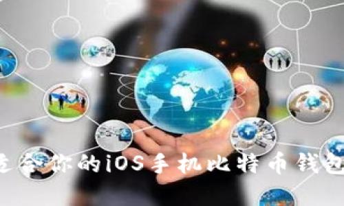 如何选择适合你的iOS手机比特币钱包:全面指南