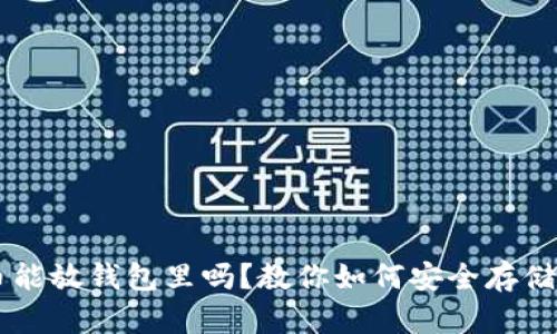 狗狗币能放钱包里吗?教你如何安全存储狗狗币