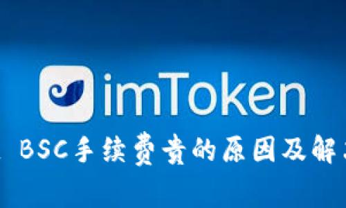 TP Wallet BSC手续费贵的原因及解决方案分析