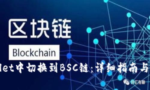 如何在tpWallet中切换到BSC链:详细指南与常见问题解析