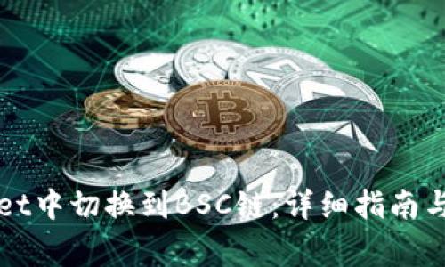 如何在tpWallet中切换到BSC链:详细指南与常见问题解析