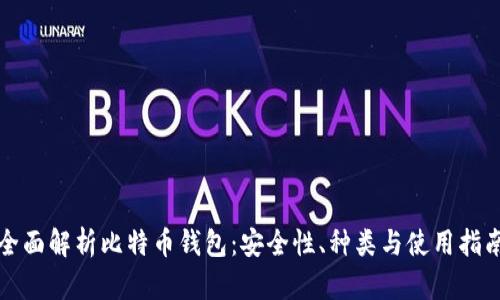 全面解析比特币钱包:安全性、种类与使用指南