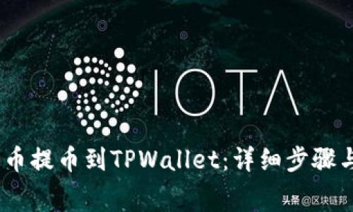 如何将Pig币提币到TPWallet:详细步骤与注意事项