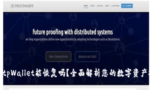 安卓tpWallet能恢复吗?全面解析您的数字资产安全