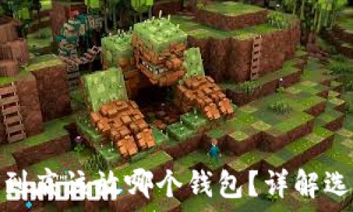 买了比特币到底该放哪个钱包?详解选择与安全性