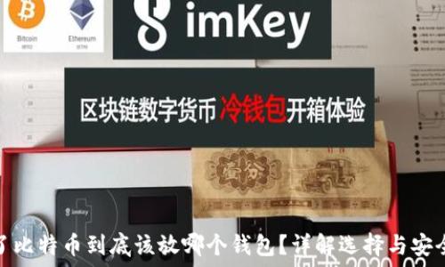 买了比特币到底该放哪个钱包?详解选择与安全性
