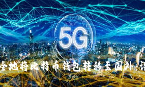 如何安全地将比特币钱包转移至国外:详尽指南