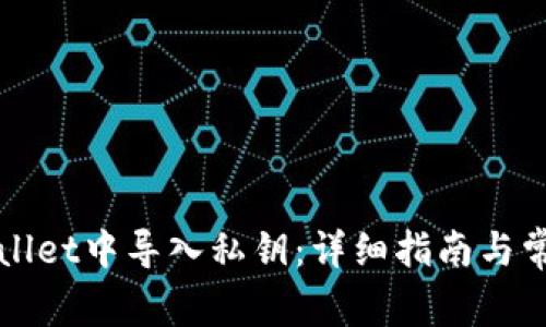 如何在tpWallet中导入私钥:详细指南与常见问题解答