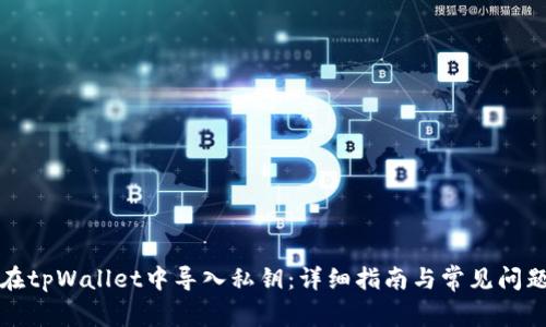 如何在tpWallet中导入私钥:详细指南与常见问题解答