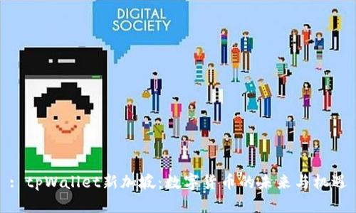 : tpWallet新加坡:数字货币的未来与机遇