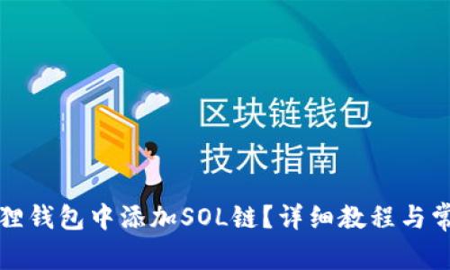 如何在小狐狸钱包中添加SOL链?详细教程与常见问题解析