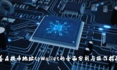 善盾提币地址tpWallet的全面分析与操作指南