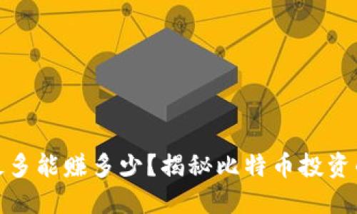 比特币钱包最多能赚多少?揭秘比特币投资的潜力与风险