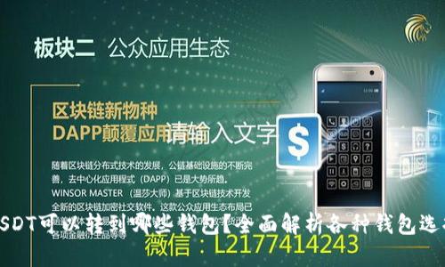 USDT可以转到哪些钱包?全面解析各种钱包选择