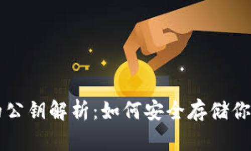 比特币钱包的公钥解析:如何安全存储你的比特币资产